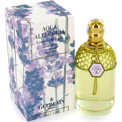 K guerlain aqua allegoria lavande velours woman