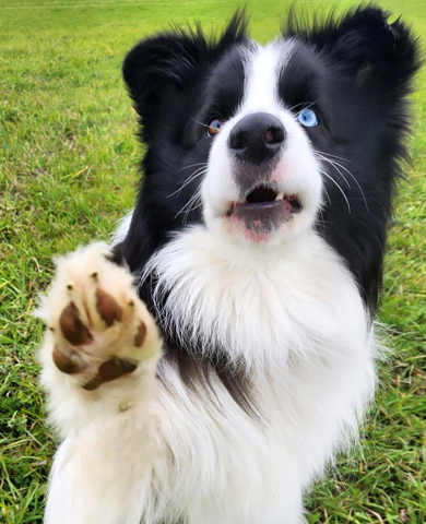 Oksana xj4885ktdwif1