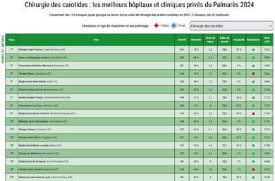 Salvadori Palmares Classement 2024 IAT Chirurgie des Carotides