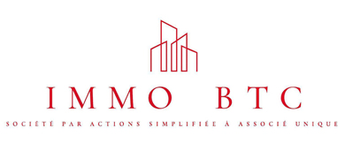NS IMMO logo