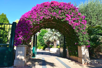 Klemberg jardin unesco monaco min 1024x684