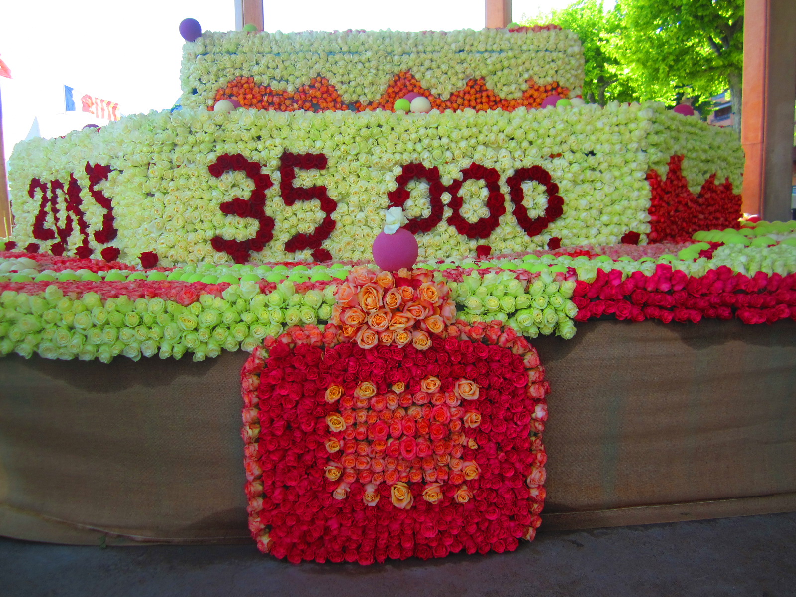 K IMG 3877