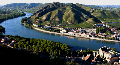 Gastro РОНА rhone valley vineyards