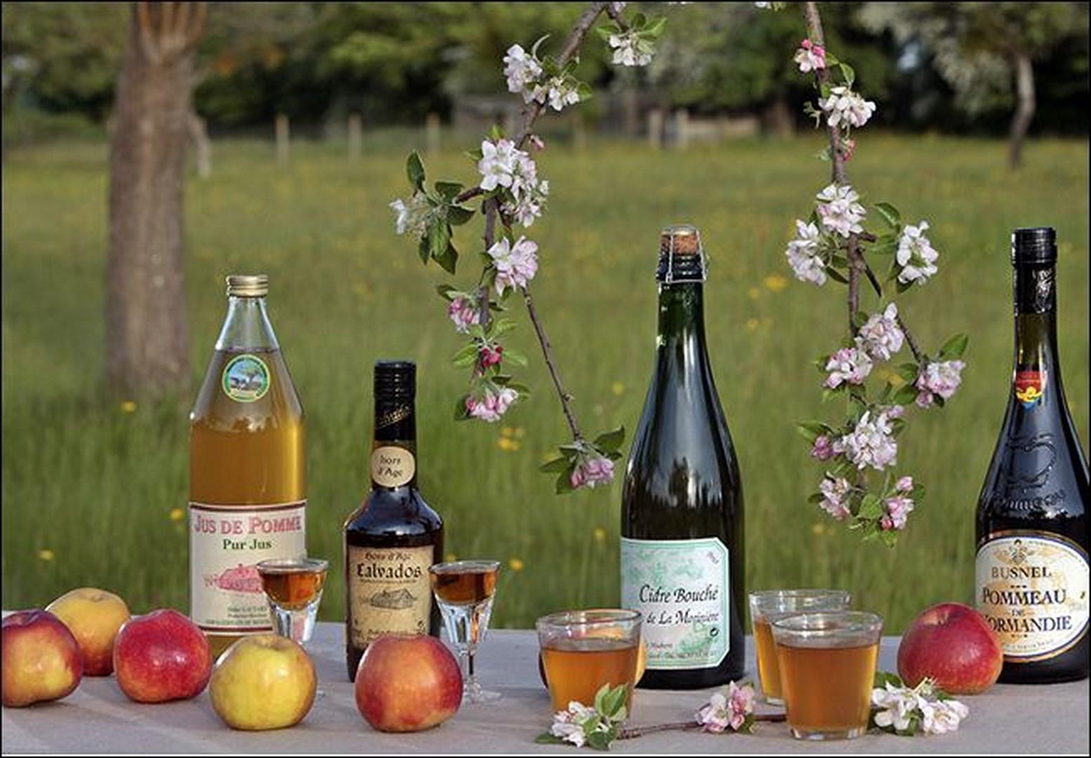 MA cidre calvados copier 1