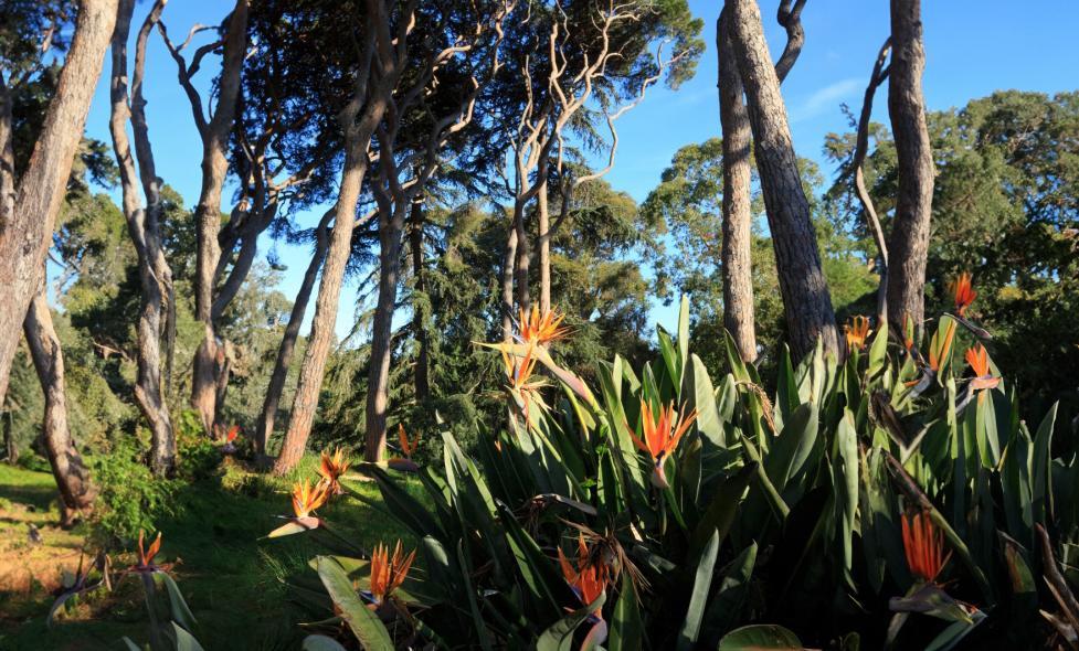 Klemberg jardin botanique Villa Ture