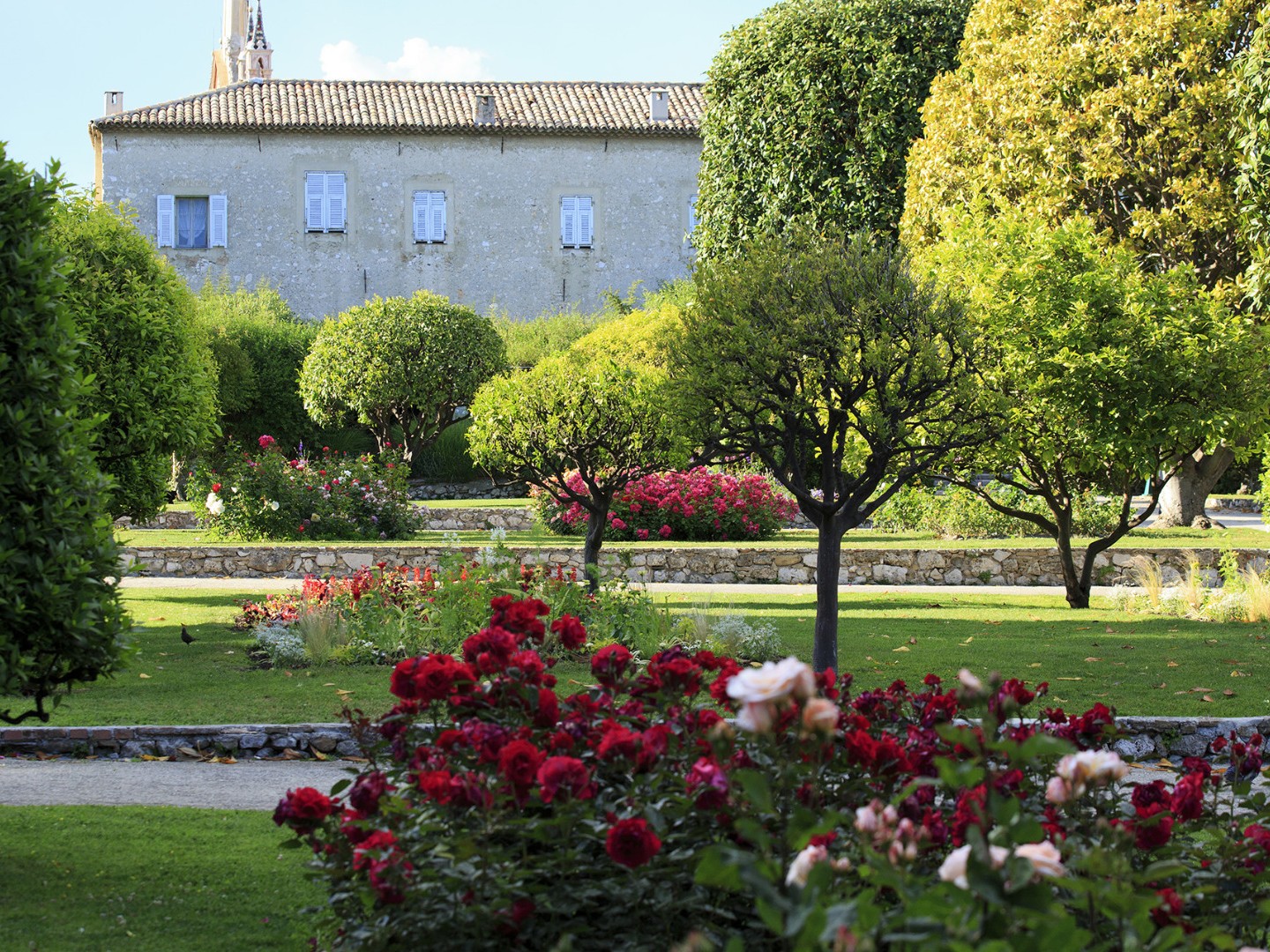 Kemberg Jardin du Monast re de Cimiez Nice CRT C 7