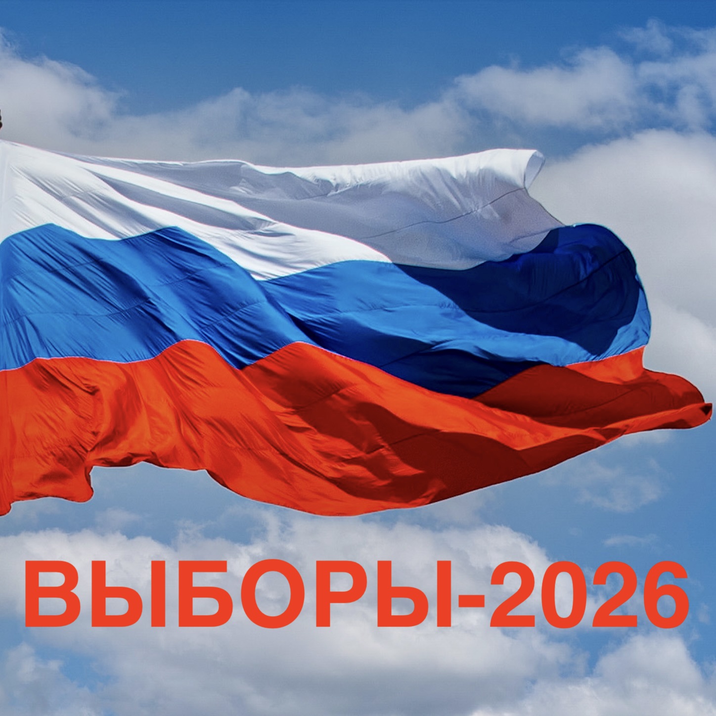 Выборы в Государственную Думу